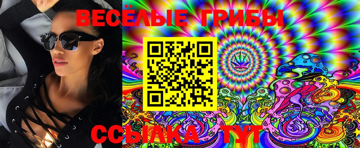 купить наркоту  Вход с VPN  Видное  Псилоцибиновые грибы Psilocybine cubensis 
