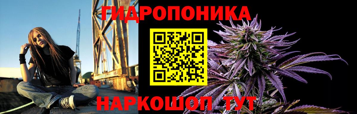 Бошки Шишки гибрид Видное